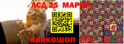 стафф Аргун