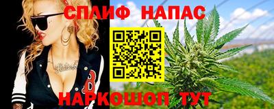 спиды Аргун