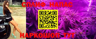 спиды Аргун
