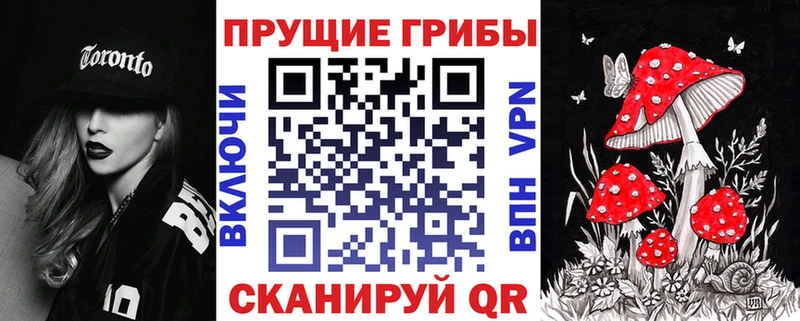 Псилоцибиновые грибы Psilocybine cubensis  Севастополь 