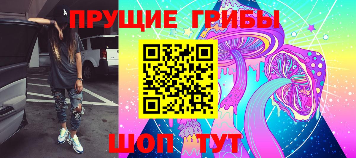 Псилоцибиновые грибы GOLDEN TEACHER  Галлюциногенные грибы прущие грибы  Севастополь 