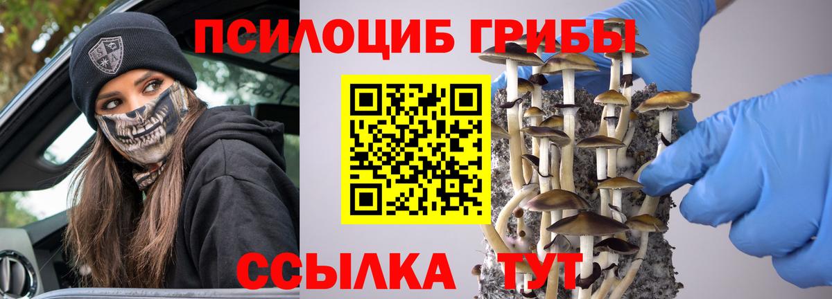 Псилоцибиновые грибы MAGIC MUSHROOMS  Вход с VPN  Севастополь 